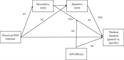 How Do Social Network Sites Influence Workout Intentions: A Social Norm Approach